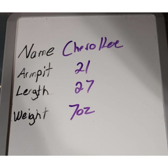 Cherokee Scrub Top Ladies Medium‎ Navy Embroidery - Picture 6 of 6